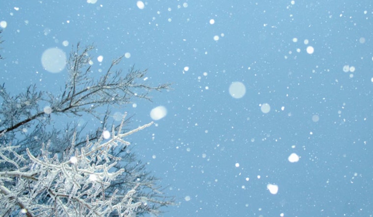 Chicago Wraps Up in Frosty Embrace as Temperatures Plummet Despite Recent Warm Spell