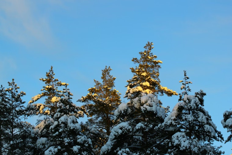 Chilly Start with Snow Showers in Atlanta, Clearer Skies Ahead for MLK Day