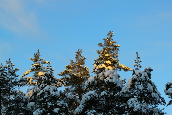 Chilly Start with Snow Showers in Atlanta, Clearer Skies Ahead for MLK Day