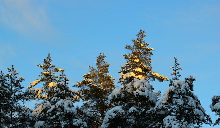 Chilly Start with Snow Showers in Atlanta, Clearer Skies Ahead for MLK Day