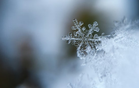 Chilly Week Ahead for Detroit, Snow Showers and Brisk Winds in the Forecast