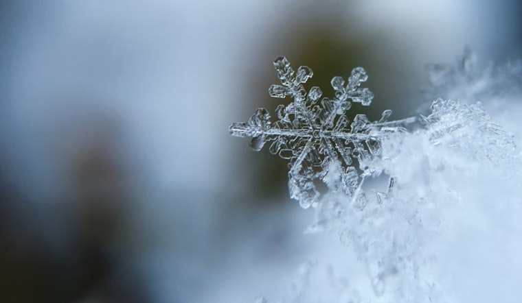 Chilly Week Ahead for Detroit, Snow Showers and Brisk Winds in the Forecast