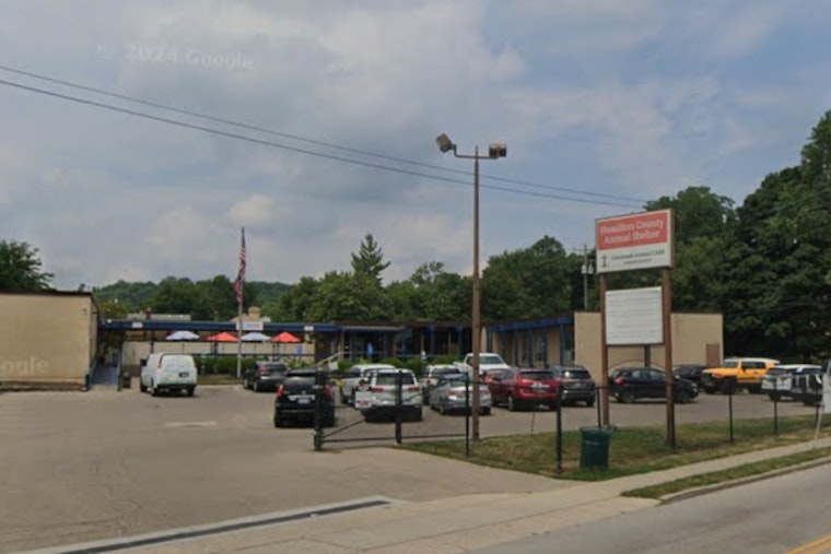 Cincinnati Animal Care Seeks Information on Severely Injured Dog Found at Elmwood School Bus Lot