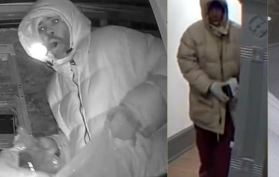 Cincinnati Police Seek Public's Help to Nab Vine Street Corridor Burglary Suspects