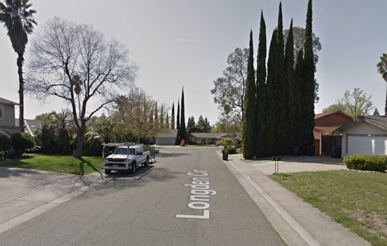Citrus Heights Garage Inferno Hurts One, Leaves Three Family Dogs Dead