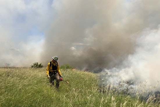 City To Torch East Austin Lakeside Acreage To Head Off Wildfires