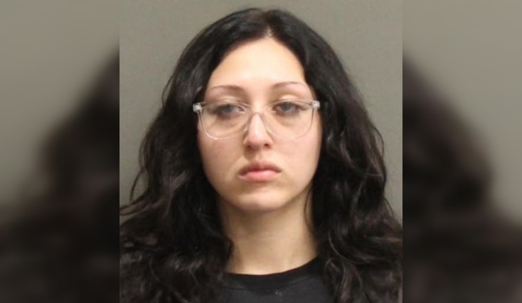 Clarksville Woman, Reana Ibrahim, Surrenders to Authorities on Vehicular Homicide Charges After Fatal June Crash in Nashville