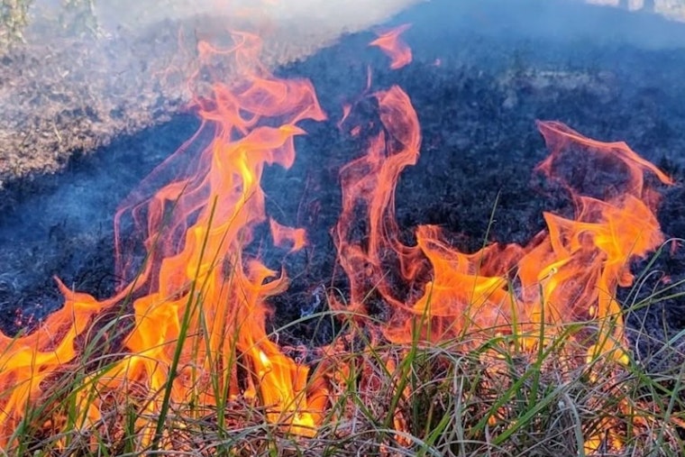 Clay County Fire Rescue Warns of Wildfire Risk During New Year's Festivities and Urges Caution With Fireworks