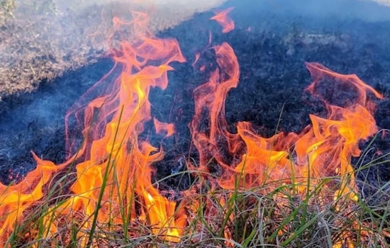 Clay County Fire Rescue Warns of Wildfire Risk During New Year's Festivities and Urges Caution With Fireworks