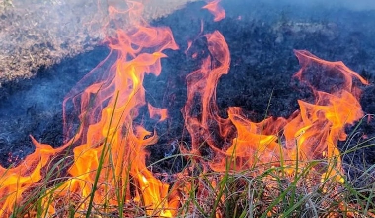Clay County Fire Rescue Warns of Wildfire Risk During New Year's Festivities and Urges Caution With Fireworks