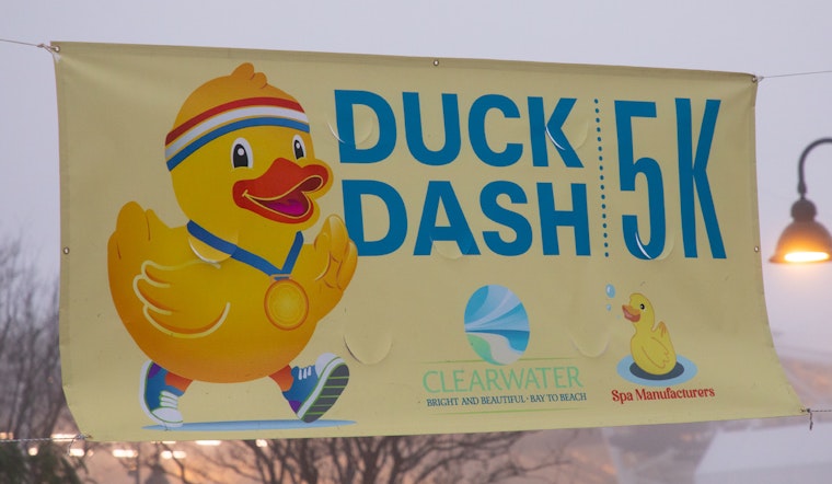 Clearwater's Duck Dash 5K Draws 500 Runners in Feathery Festivities at Coachman Park
