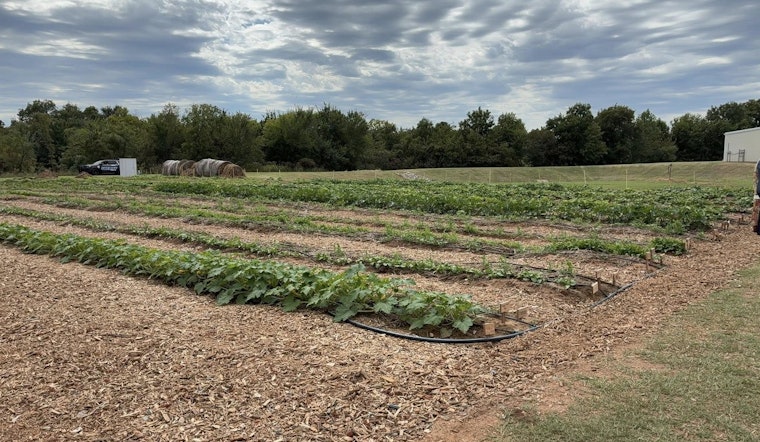 Cleveland County Jail's Garden Program Flourishes, Producing Over $5,000 in Vegetables and Expanding Inmate Rehabilitation Efforts