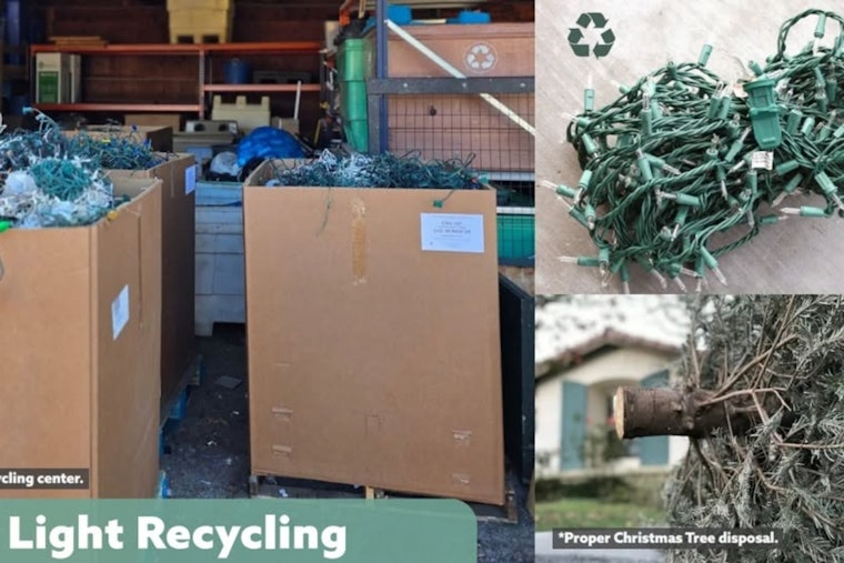 Cleveland Heights Advocates Eco-Friendly Post-Holiday Disposal of Live Trees and Lights