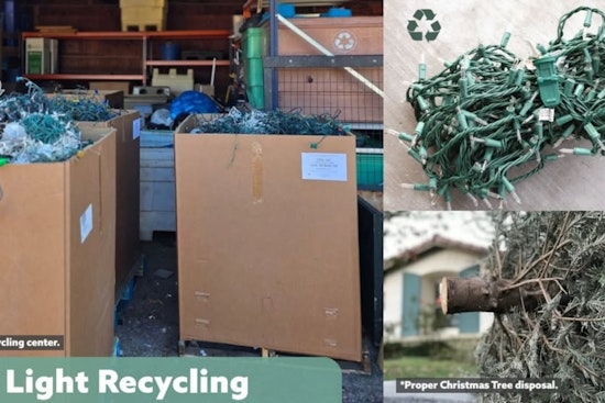 Cleveland Heights Advocates Eco-Friendly Post-Holiday Disposal of Live Trees and Lights