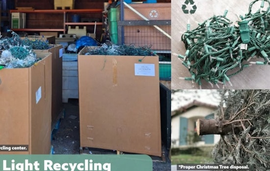 Cleveland Heights Advocates Eco-Friendly Post-Holiday Disposal of Live Trees and Lights