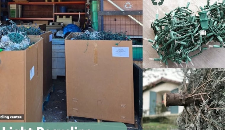 Cleveland Heights Advocates Eco-Friendly Post-Holiday Disposal of Live Trees and Lights