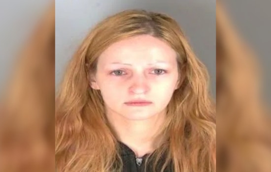 Clinton Township Woman Sentenced to 10.5-30 Years for Assault with Intent to Murder