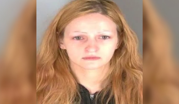 Clinton Township Woman Sentenced to 10.5-30 Years for Assault with Intent to Murder