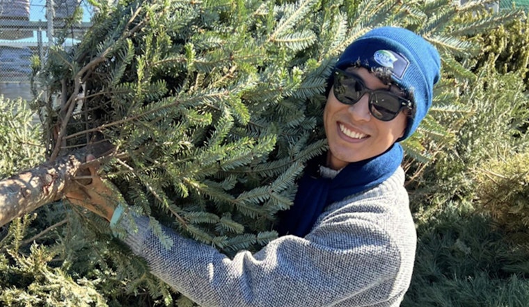 Cobb County Extends Christmas Tree Recycling Event, Invites Residents for Eco-Friendly Disposal