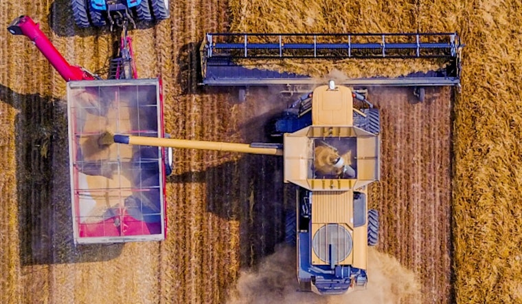 Colorado Farmland Vanishes Fast as New Rules Squeeze Plains Farmers