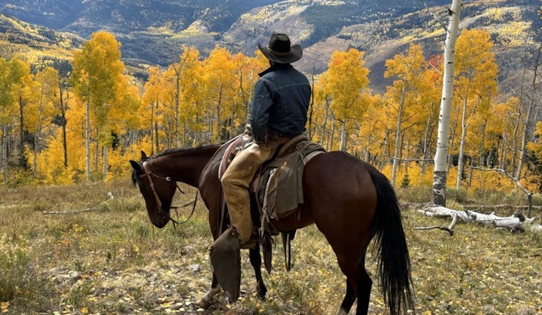 Colorado Parks and Wildlife Seeks Range Riders for Expanded Wolf Management Program in 2026