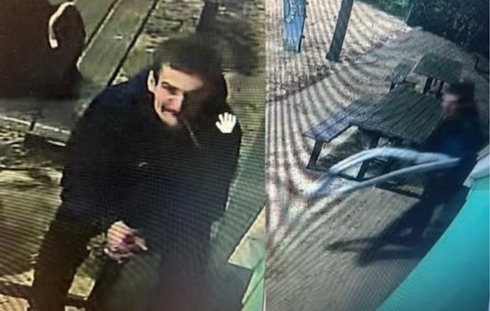 Columbus Police Seek Suspect in Grandview Ave Business Break-In, Appeal for Community Help