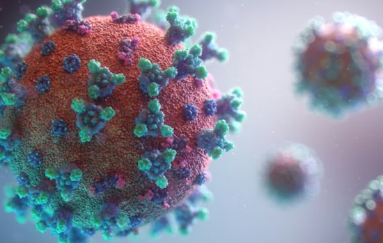 Confirmed Measles Case in Waukesha County Sparks Public Health Response, Officials Urge Immunization Checks