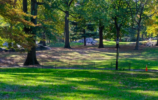 Conroe Plots Bold Makeover Of Ghost Tech Park Into Discovery Green-Style Escape