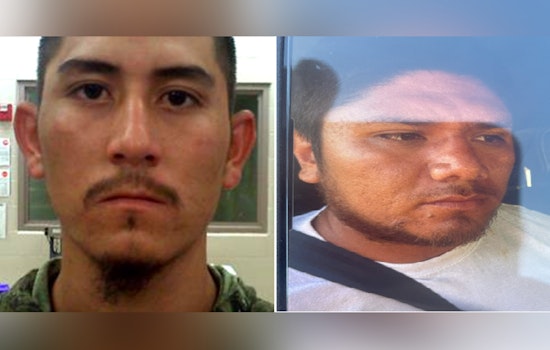 Conroe Red-Light Horror, Border Detainees Allegedly Choke Agent, Bolt From Van