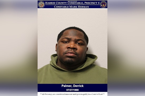 Convicted Felon Derrick Palmer Arrested for Weapons and Drug Possession in Harris County