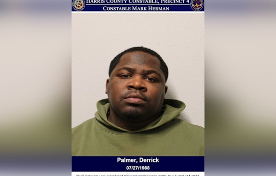 Convicted Felon Derrick Palmer Arrested for Weapons and Drug Possession in Harris County