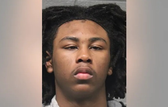 Cops Nab Suburban Teen In Brutal Red Line Beatdown Near 69th Street