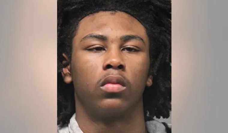 Cops Nab Suburban Teen In Brutal Red Line Beatdown Near 69th Street