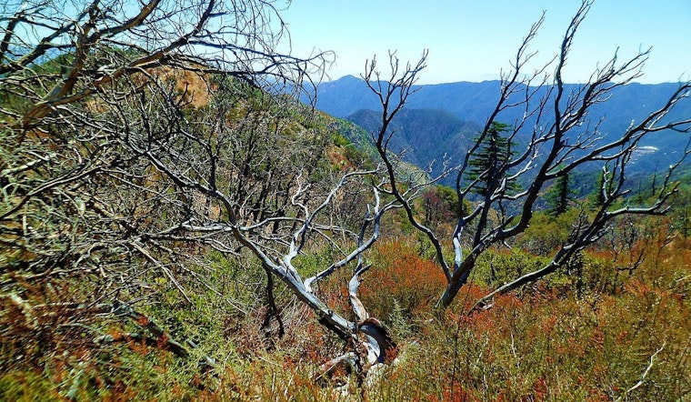 Crest Fire Ignites Before Dawn In Angeles National Forest Backcountry