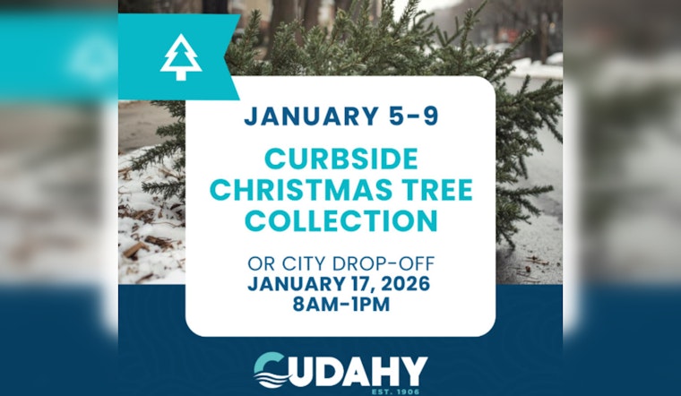 Cudahy Residents Invited to Recycle Christmas Trees Through Curbside Collection and Drop-Off Service