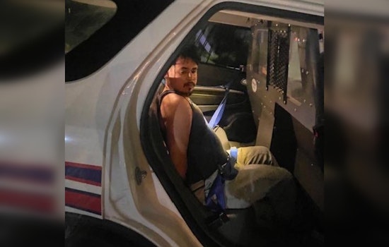 Cypress Mill Gunfire Scare Ends In Arrest And Pot Seizure, Constable Says