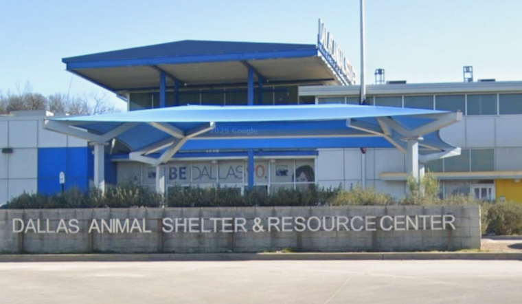 Dallas Animal Services Welcomes New Team Member and Celebrates Volunteer Achievements