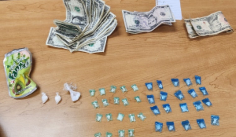 Dallas Police and U.S. Marshals Arrest Wanted Fugitive Velisa Purvis on Multiple Felony Narcotics Charges in Central Business District