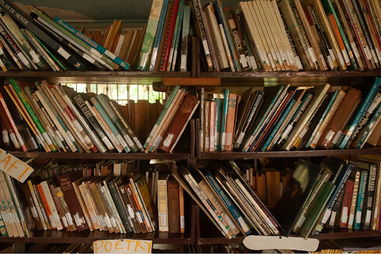 Dallas Public Library Delays Regional Meetings to Incorporate Community Feedback
