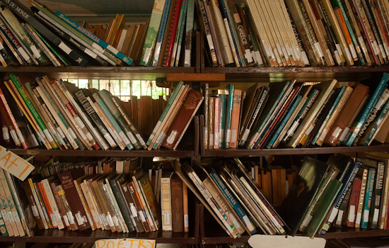 Dallas Public Library Delays Regional Meetings to Incorporate Community Feedback