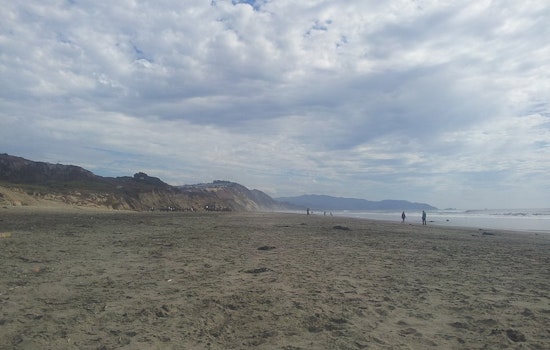 Daly City Community Battles Landowner Over Chainlink Fence Blocking Thornton State Beach Access