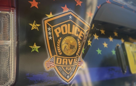 Davie Woman, 75, Accused of Impersonating Officer, Brandishing Taser in Racially Charged Walmart Altercation