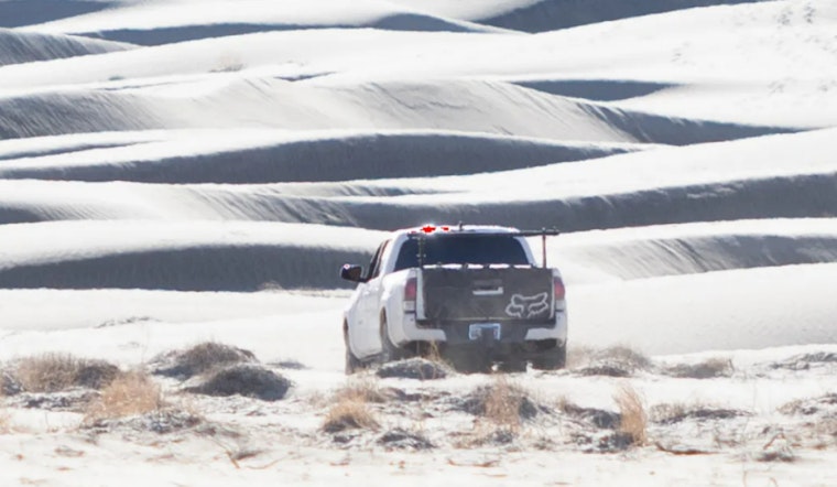 Death Valley National Park Seeks Public's Help to Identify Suspects in Illegal Off-Roading Incident Damaging Rare Desert Plants