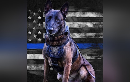 DeKalb County Police Department Honors Legacy of Valiant Retired K9 Officer Drago