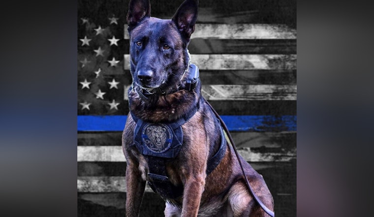 DeKalb County Police Department Honors Legacy of Valiant Retired K9 Officer Drago