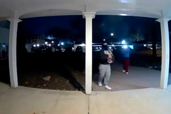 Deltona Yorkie Killed After Teens' TikTok Door Kick, Heartbroken Owner Says