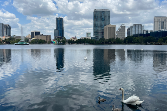 Dense Fog Advisory in Orlando Clears for Warm Weekend, Cooler Weather on Horizon