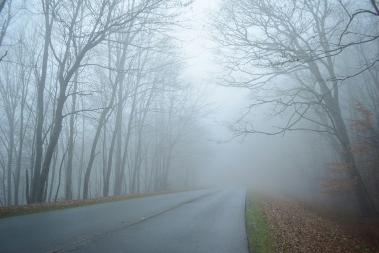 Dense Fog Advisory Issued by National Weather Service in Memphis Until 10 AM CST