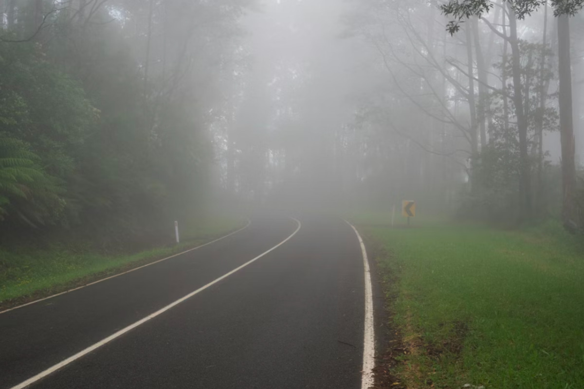 Dense Fog in Middle Tennessee Causes I-840 Closure and School Delays