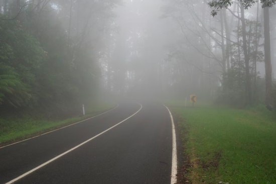 Dense Fog in Middle Tennessee Causes I-840 Closure and School Delays